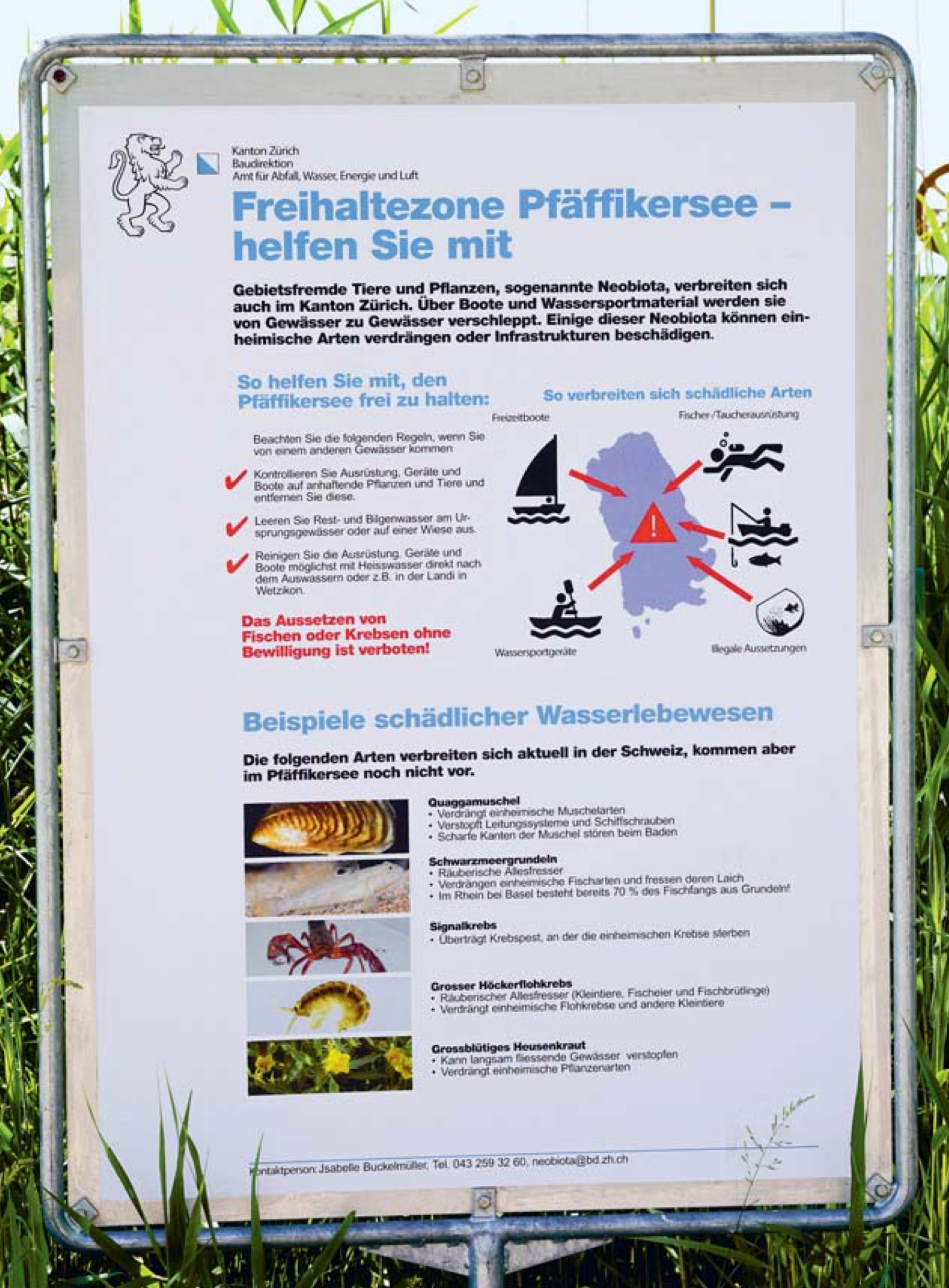 Eine Informationstafel informiert über die Neobiota. Bildquelle: Baudirektion Kanton Zürich