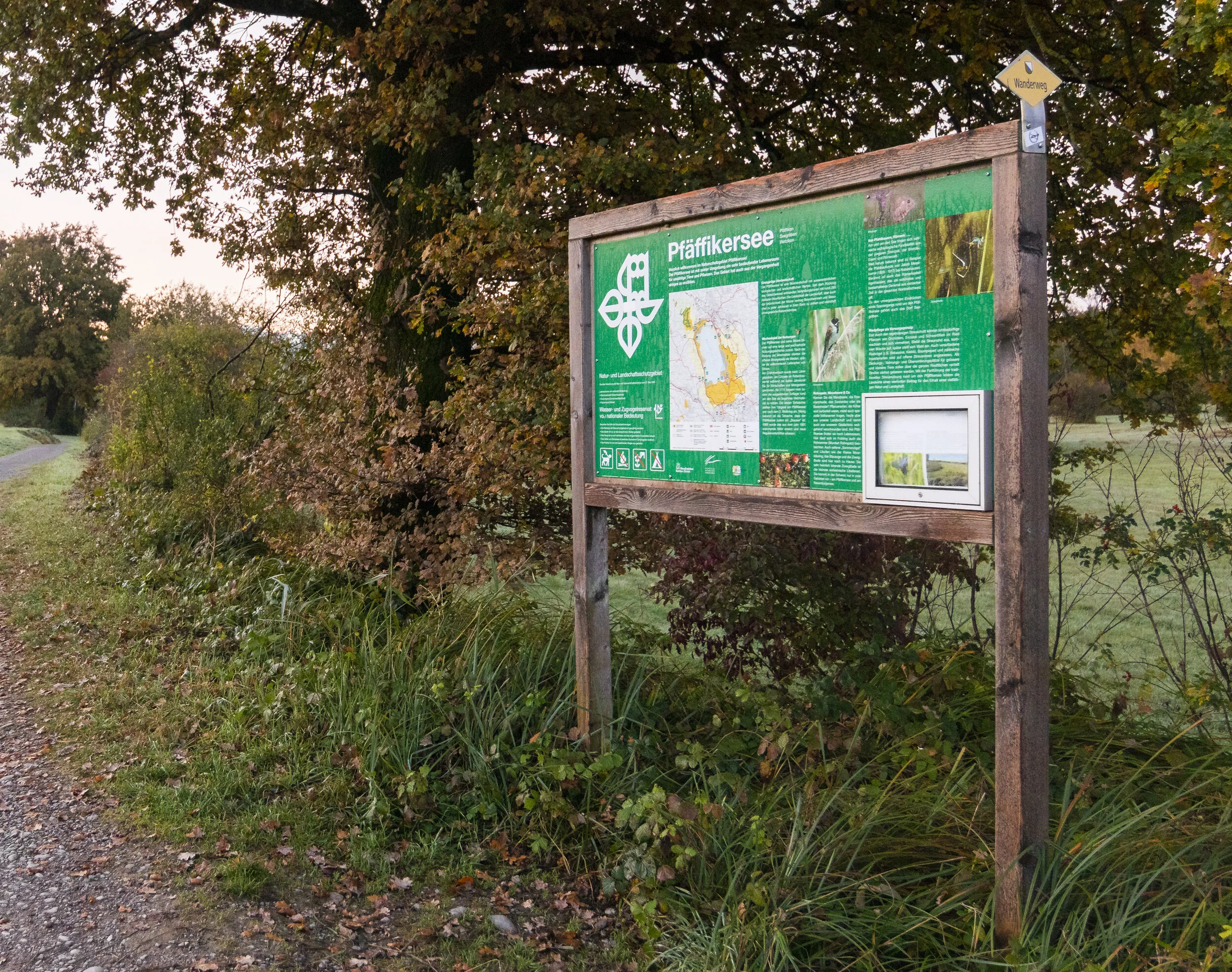 Naturschutzgebiet Pfäffikersee