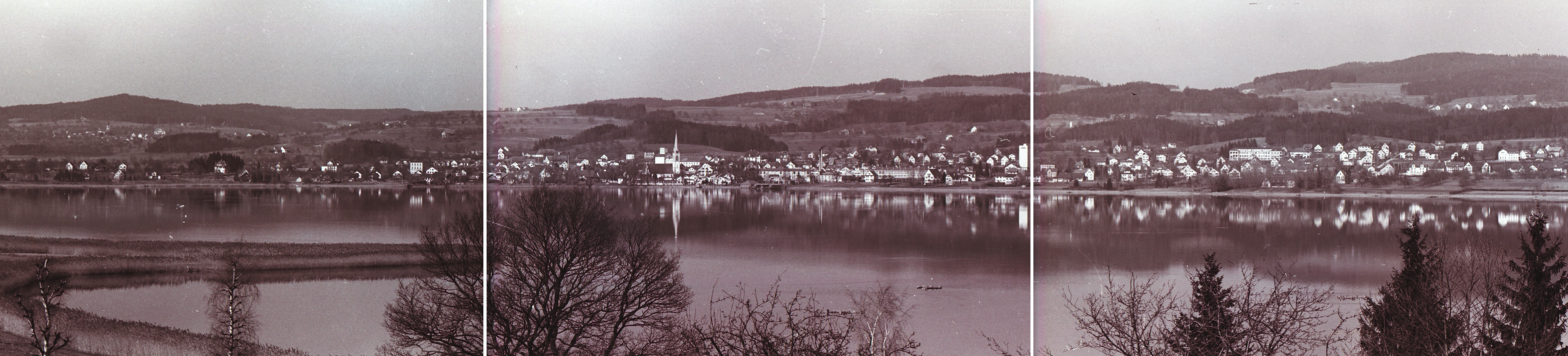 Das Pfäffikerseeufer im Jahr 1949. Zu diesem Zeitpunkt ist die Umgebung bereits sehr besiedelt. Im Jahr zuvor, 1948, wurde die Pfäffikerseelandschaft mit einer Verordnung unter Schutz gestellt. Die Besiedelung am Ufer wurde damit eingeschränkt, doch…